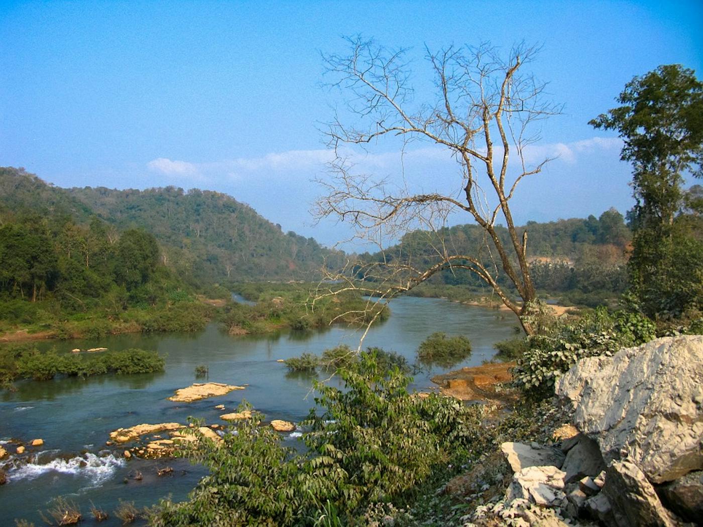Indochina Mixed Forests & Peatlands (IM12)